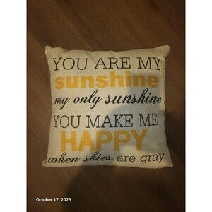 Pillow Cover+Pillow "You Are My Sunshine" Positivity Happiness 17 x 17" Letters